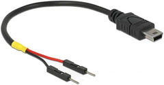 DeLOCK 85412 Mini-USB naar 2 Pin-Header Kabel - 10 cm - Zwart