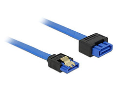 DeLOCK SATA 6 Gb/s Verlengkabel - 100 cm - Blauw (84975)