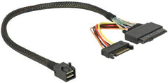 DeLOCK SFF-8643 naar U.2 SFF-8639 Kabel met SATA-Voeding - 30 cm