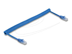 DeLOCK 90197 Cat6 U/UTP Netwerkkabel - RJ45 - 1,2 meter - Blauw