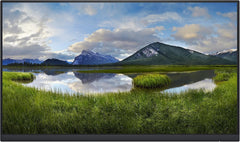 Dell 24 Inch Full HD Monitor Zonder Standaard (1920x1080, 60Hz)