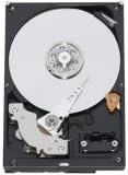 Western Digital WD Caviar Blue 1TB Interne Harde Schijf (Refurbished) - 3.5 Inch SATA