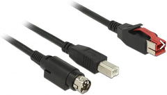 DeLOCK PoweredUSB 24V naar USB-B en Mini DIN 3-pin Kabel - 1m