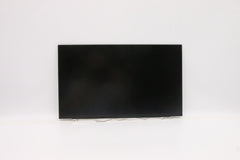 Lenovo 15.6 inch Full HD IPS Beeldscherm Mat (FRU 5D10V82391)