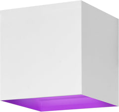 Hombli Slimme Wandlamp Binnen & Buiten - RGB & Wit - IP67 - Wit