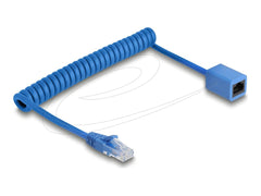 DeLOCK 90365 Cat6 U/UTP Netwerkkabel - RJ45 - 1.2 meter - Blauw