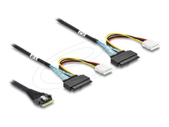 DeLOCK 82296 PCIe 4.0 Slim SAS SFF-8654 8i naar 2x U.2 SFF-8639 Kabel - 50 cm