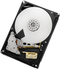 HGST Ultrastar 7K3000 2TB Interne Harde Schijf - 3.5 Inch, 7200 RPM, SATA III