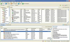 Licentie InfraStruXure Central 100