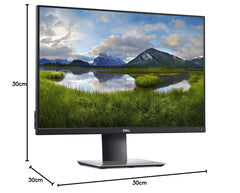 Dell 24 Professional Monitor P2421