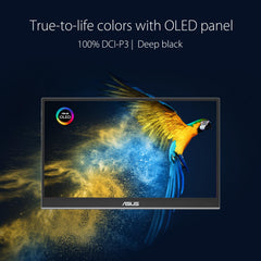 Asus 15,6" ZenScreen OLED MQ16AHE (null cm (null Zoll))